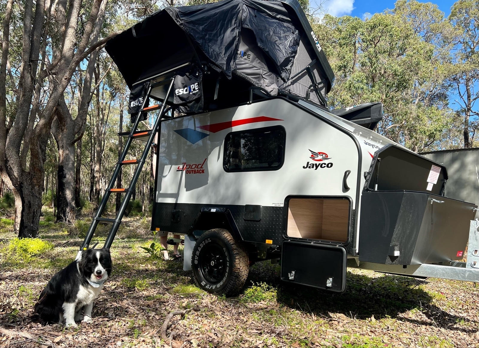 Pod Camper Servicing