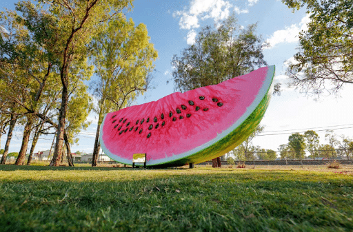 alt text for chinchilla watermelon festival people enjoying the outdoors